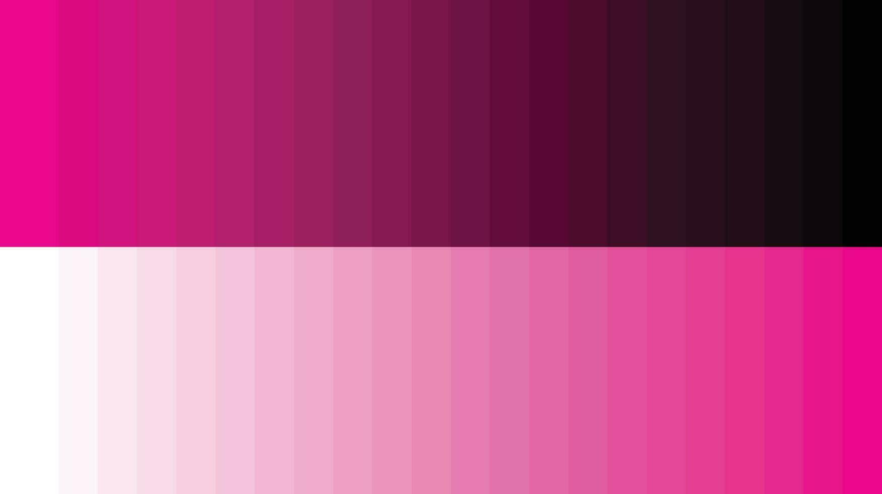 paleta de colores rosa vector