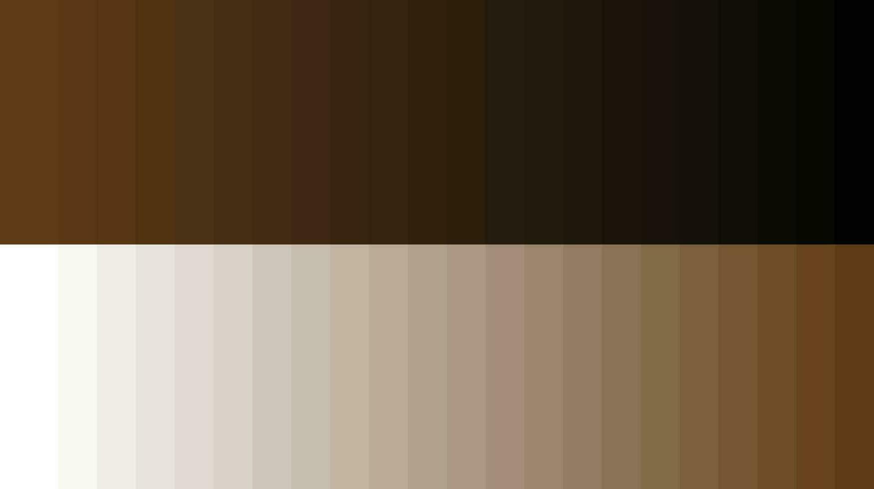 Color palette wheat vector