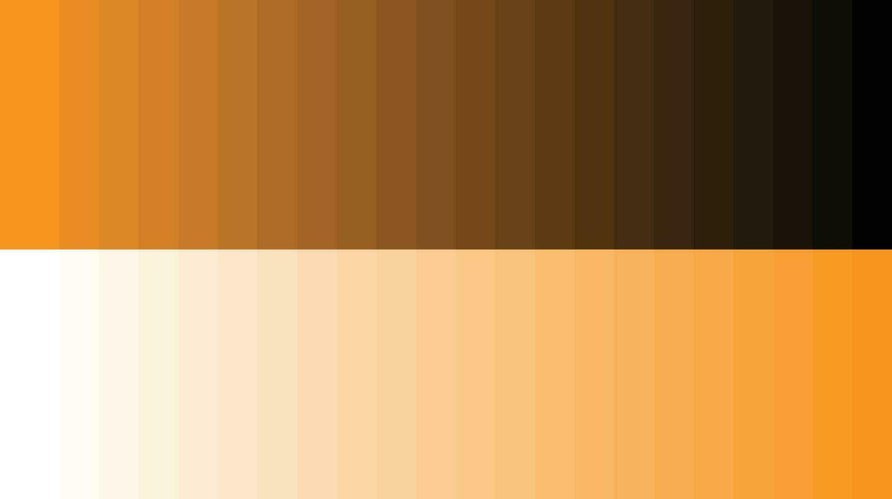 Color palette orange vector