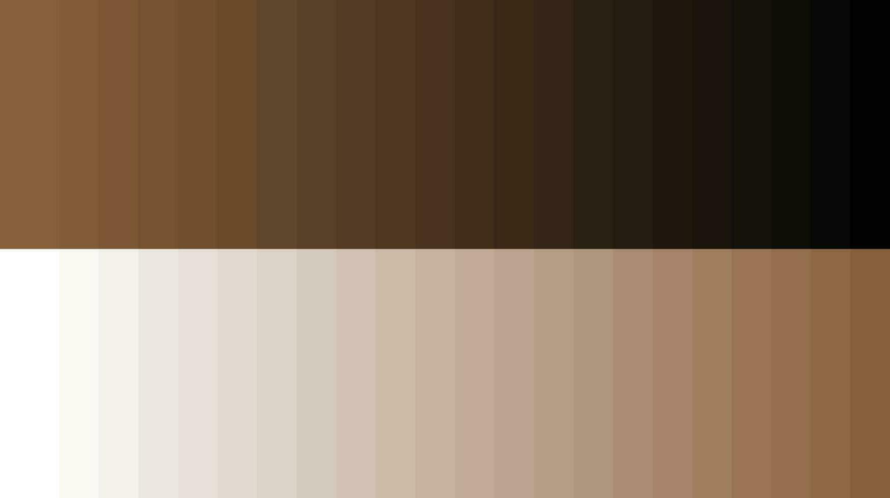 Color palette wheat vector