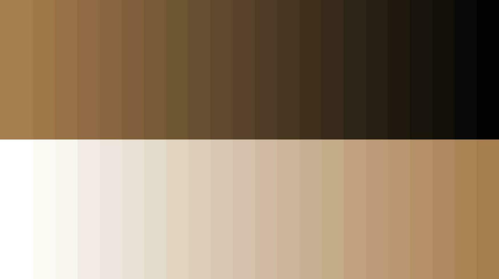 Color palette wheat vector