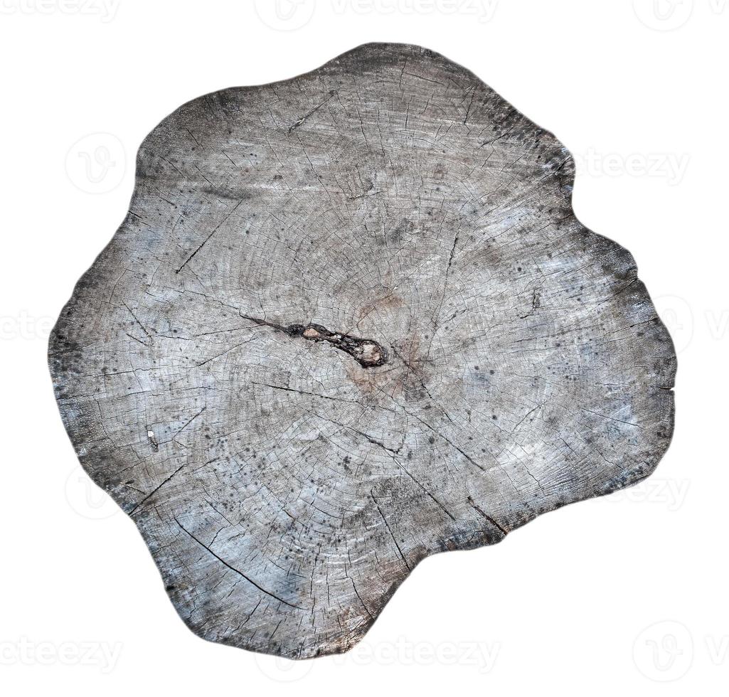 Wooden old stump, wood texture background isolate on white photo