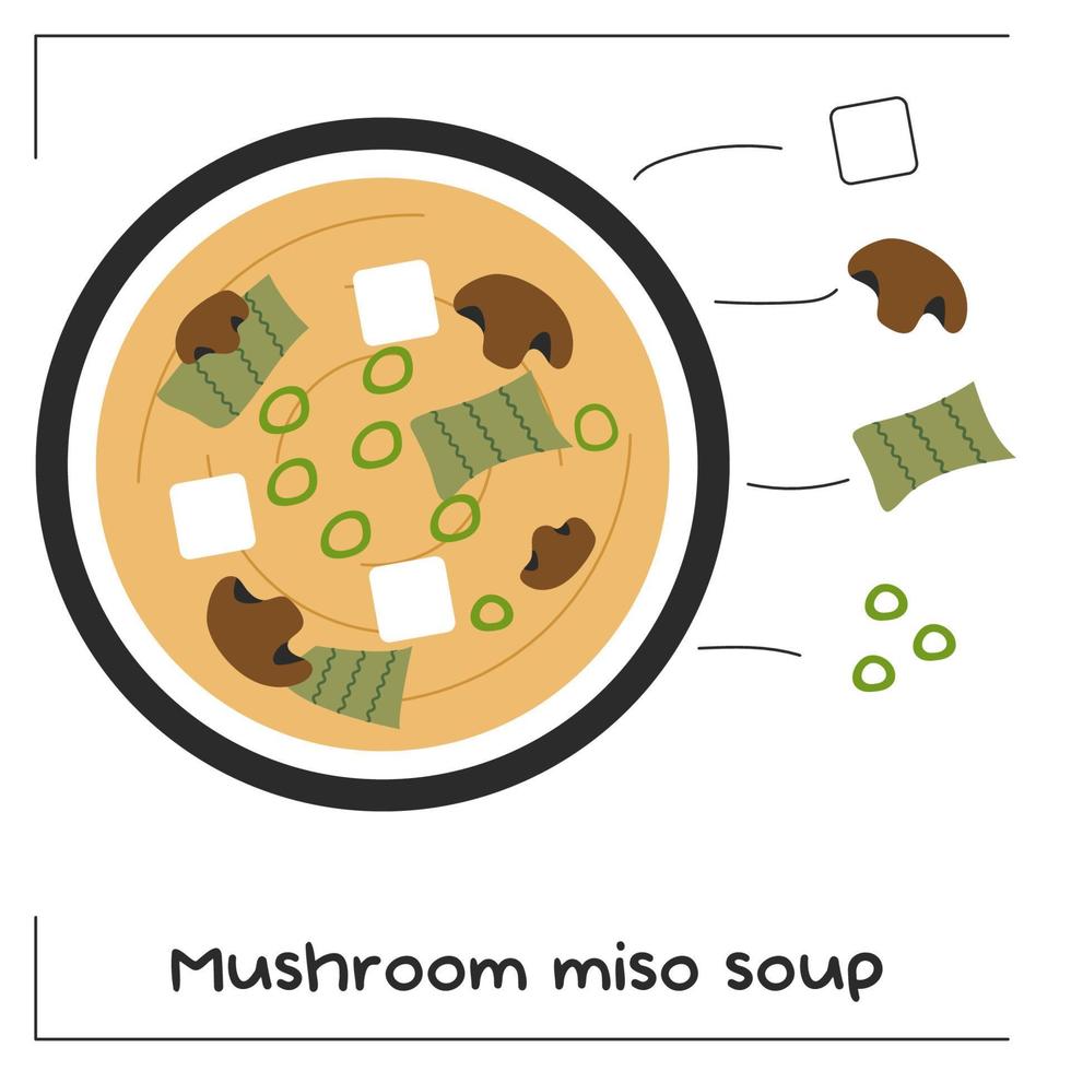Mushroom miso soup recipe design illustration with ingredients. Tow view. Vector stock illustration isolated on white background. Flat style