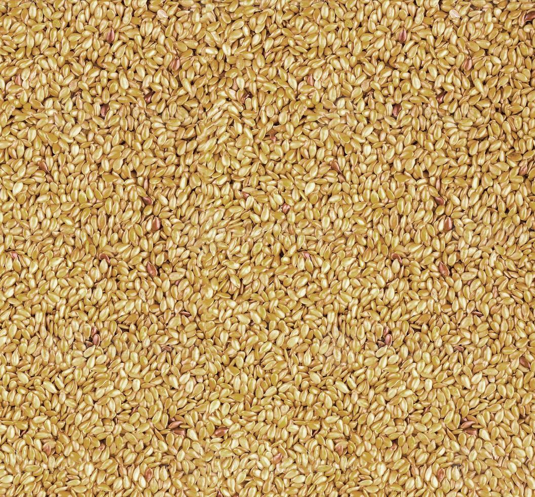 texture of roasted golden flax seed or linseed photo