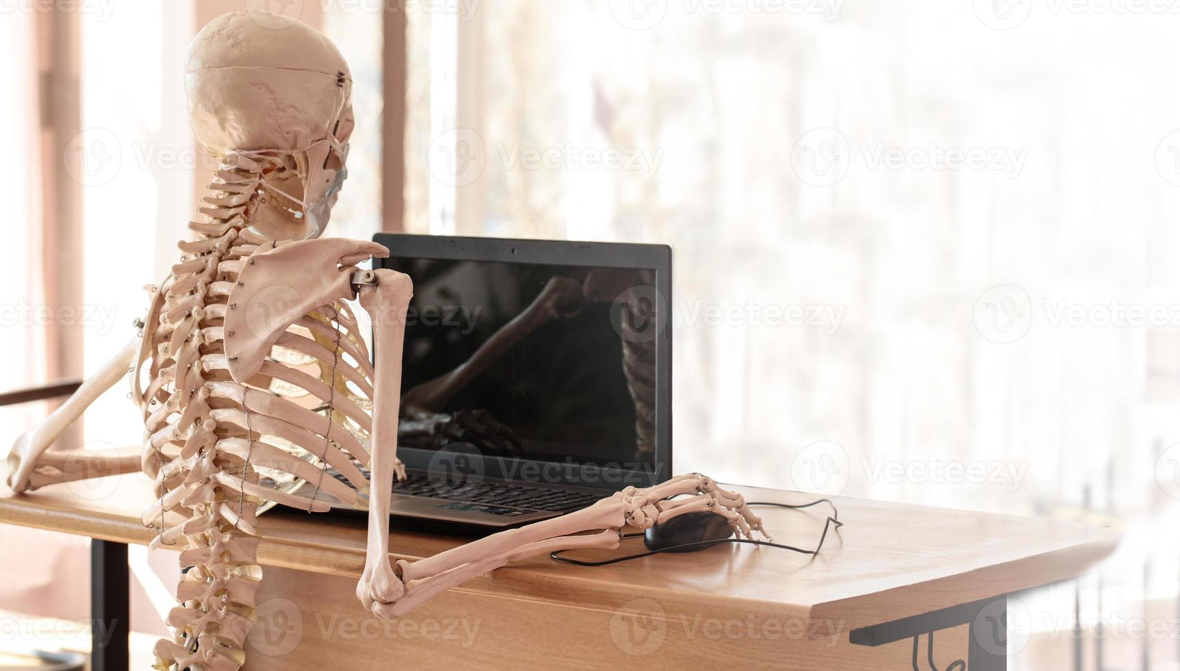 Skeleton in a medical mask using a computer in the office photo
