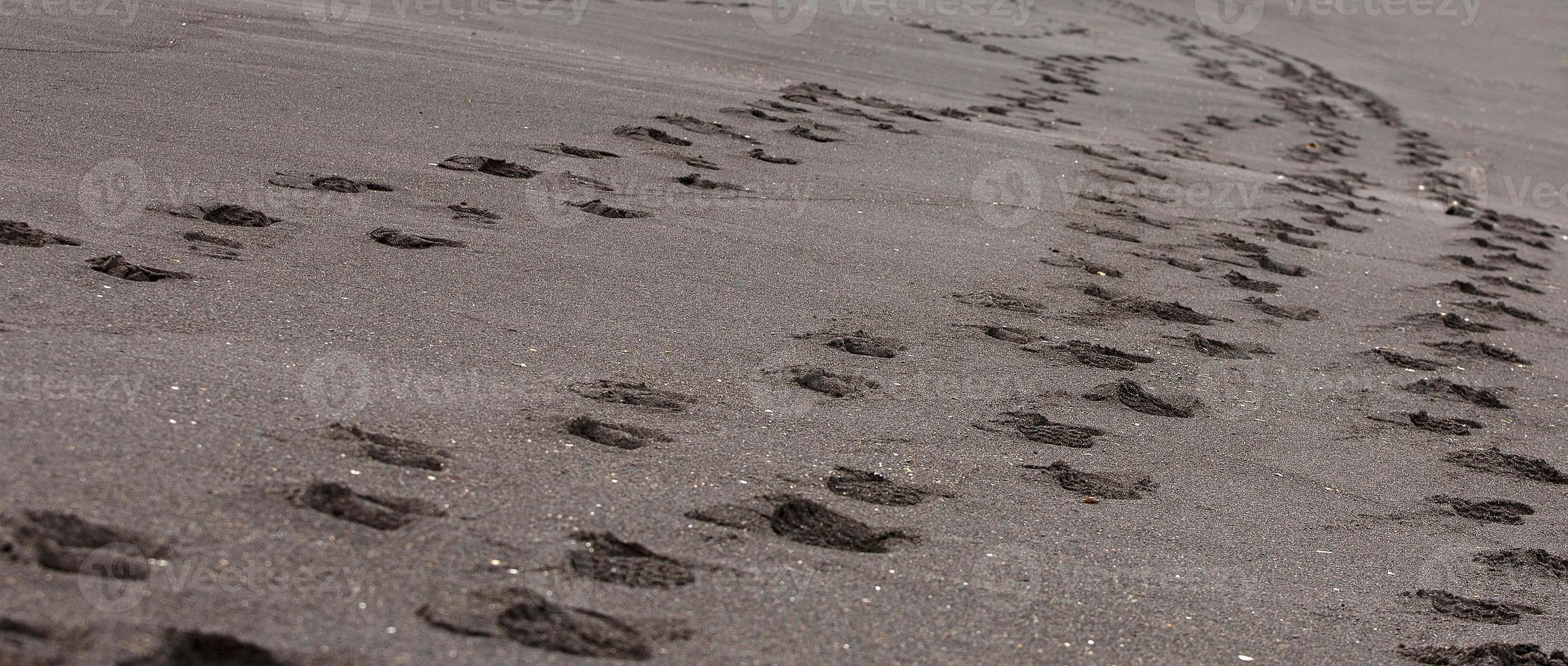 Selective focus. Foot prints in the black sand. Black sand on the beach photo