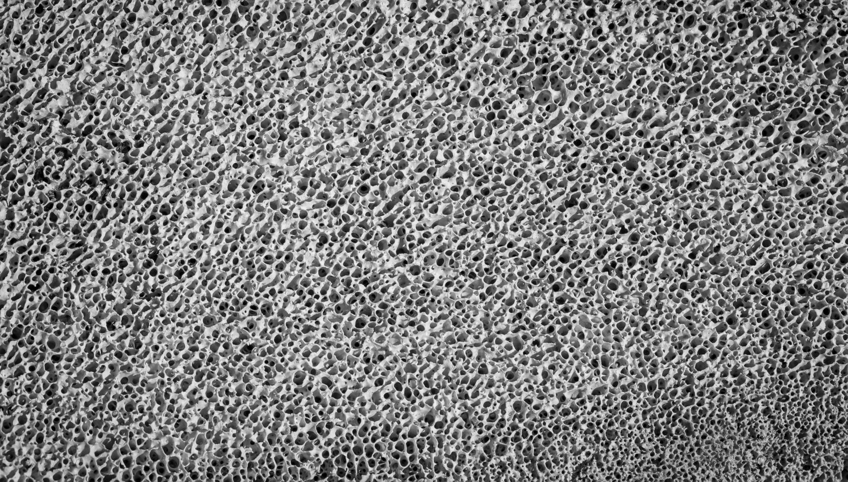 Bone spongy structure close-up, healthy texture of bone. Selective focus photo