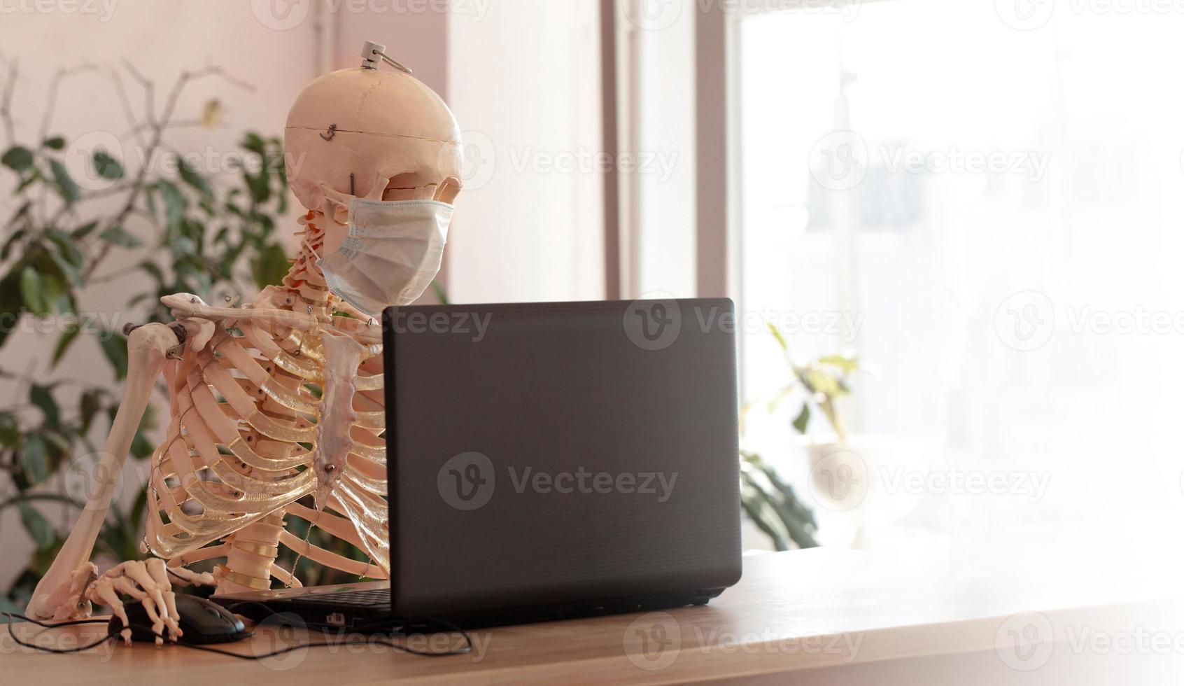 Skeleton in a medical mask using a computer in the office photo