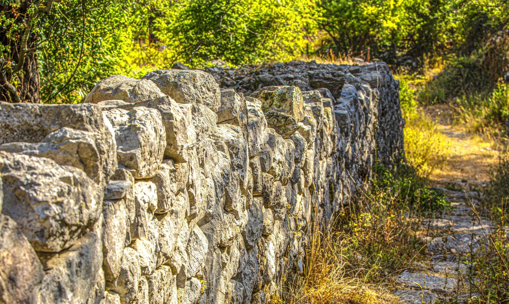 old stone fence and path in a green summer forest. Selective focus photo