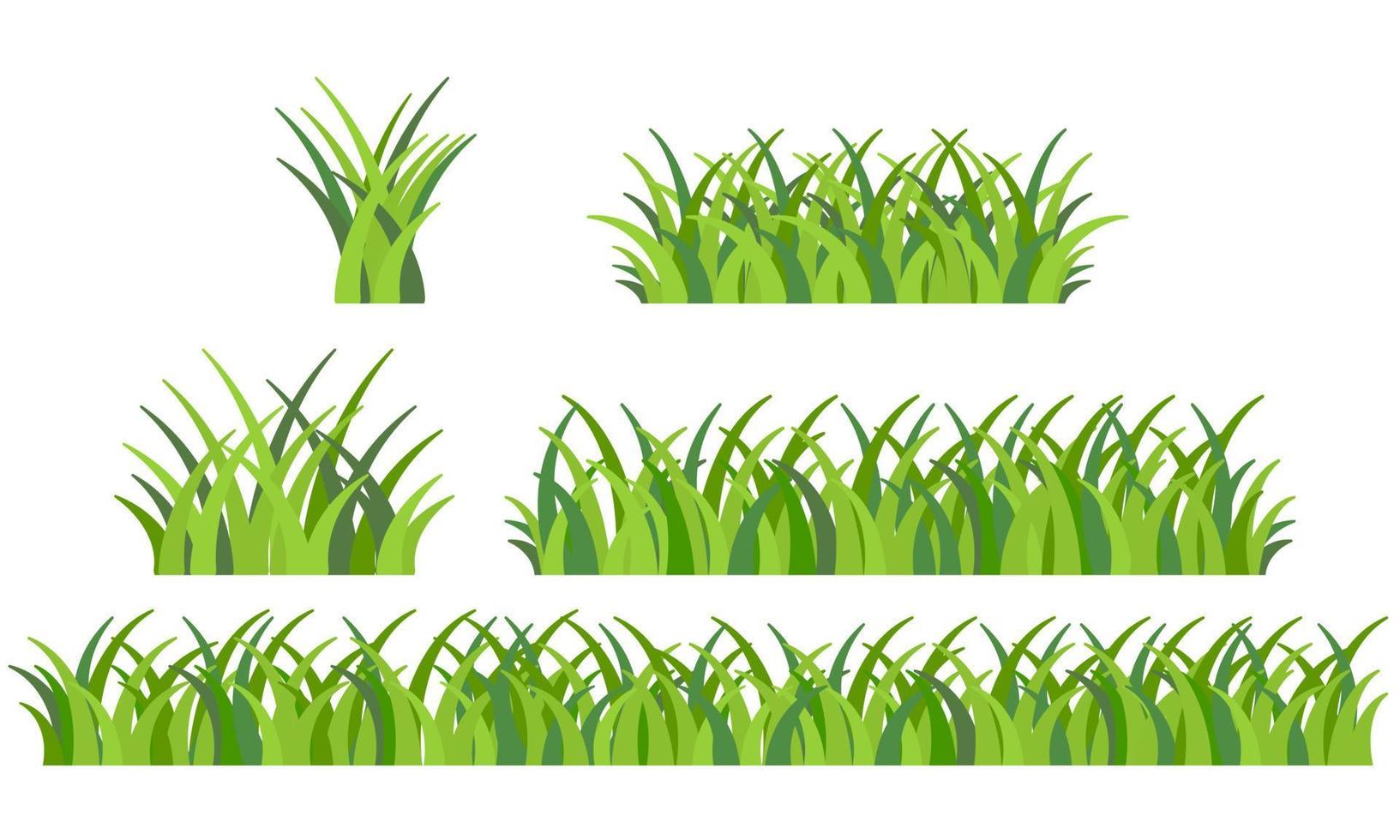Set of green grass. Vector illustration.
