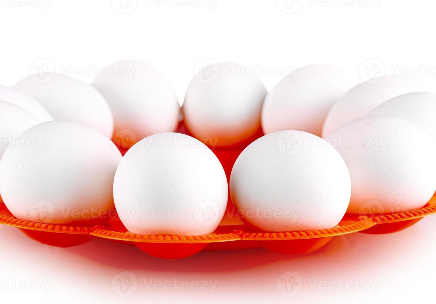 chicken white eggs on a red stand photo