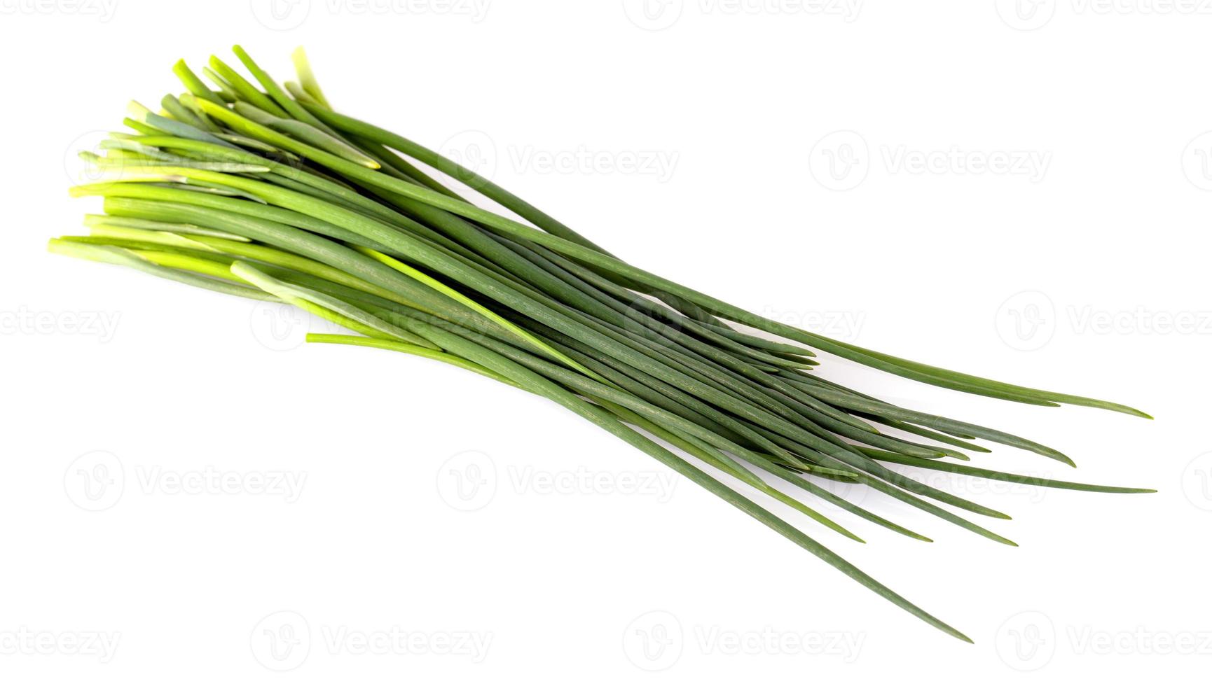 Green onion isolated on the white background photo