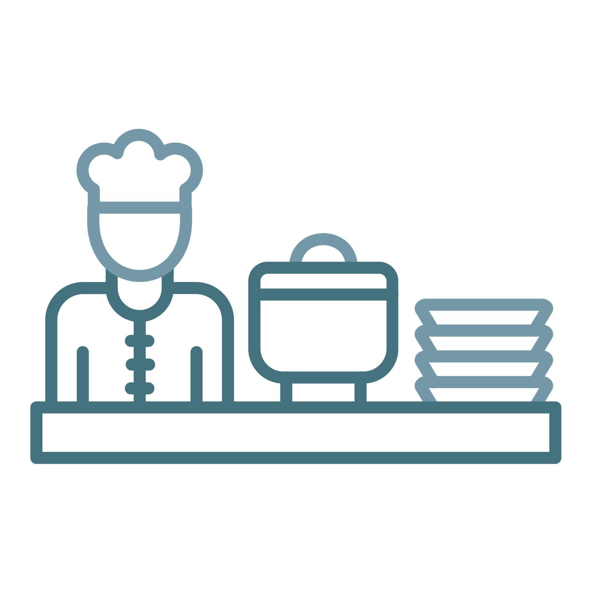 Caterer Line Two Color Icon 16867547 Vector Art at Vecteezy