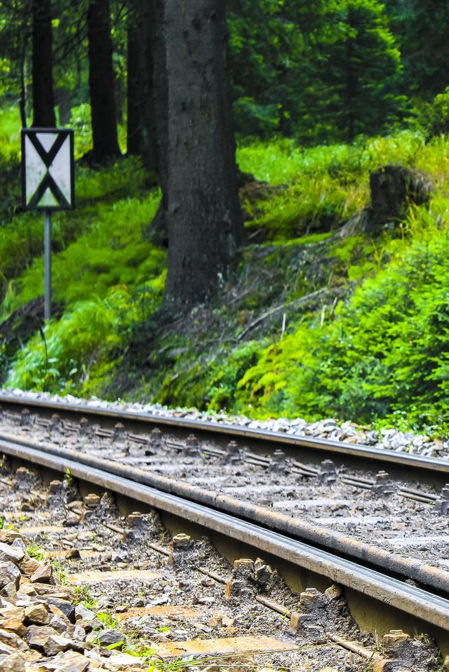 vías de tren a través del bosque hasta la montaña brocken harz alemania. foto