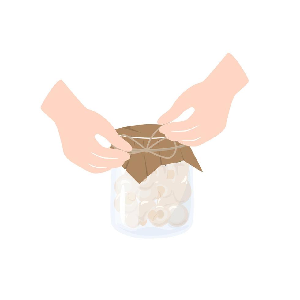 champiñones en escabeche con especias en un frasco. conservas caseras de champiñones champiñones. preparación y conservación de alimentos. Ilustración de vector de productos saludables naturales enlatados.