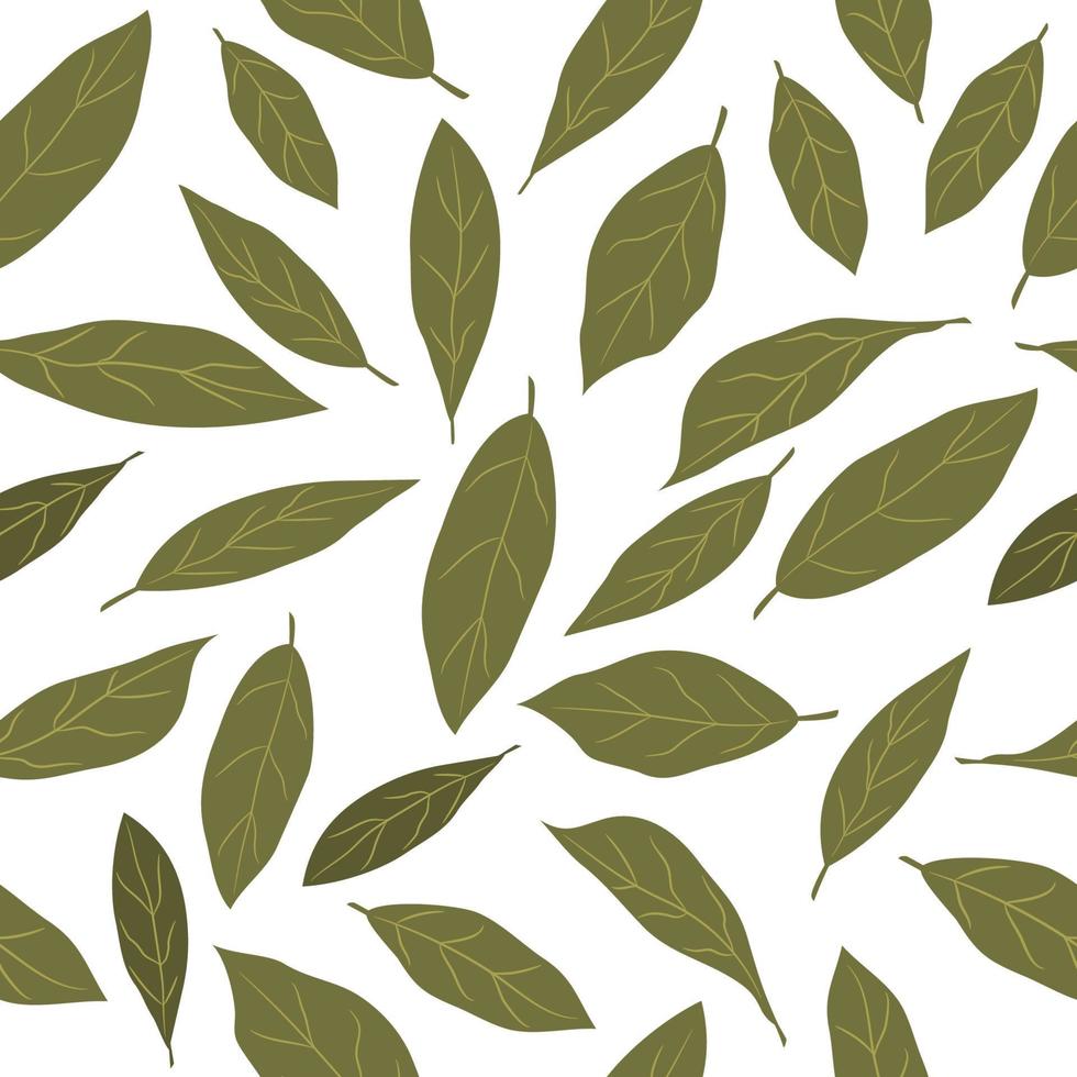 Bay leaf seamless pattern in cartoon flat style. Vector illustration. Healthy food background.