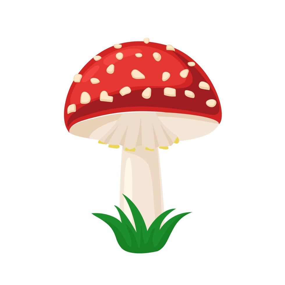 hongo amanita. rojo venenoso con puntos blancos. ilustración de vector de agárico de mosca aislado sobre fondo blanco.