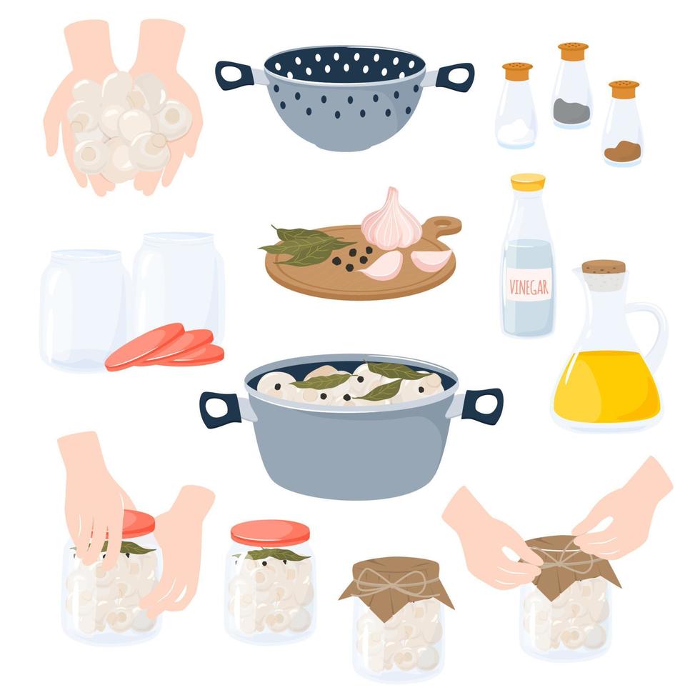 Homemade preserves of mushrooms champignons. Preparing and Preserving Food. Canned natural healthy products vector illustration.
