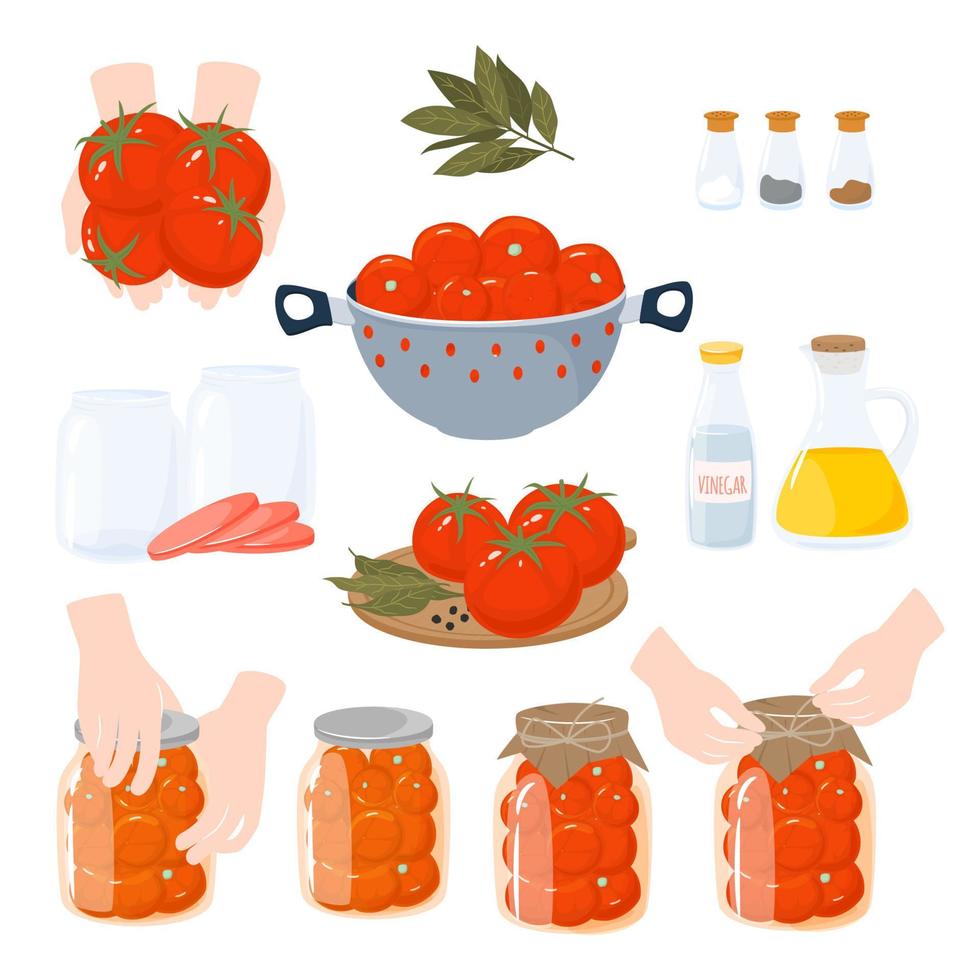 Homemade preserves of tomatoes. Preparing and Preserving Food. Canned natural healthy products vector illustration.