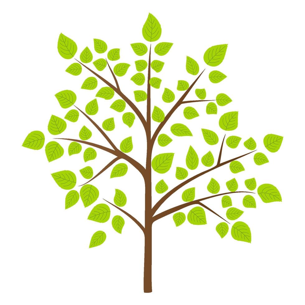 Summer tree. Decorative tree with green leaves. Vector illustration