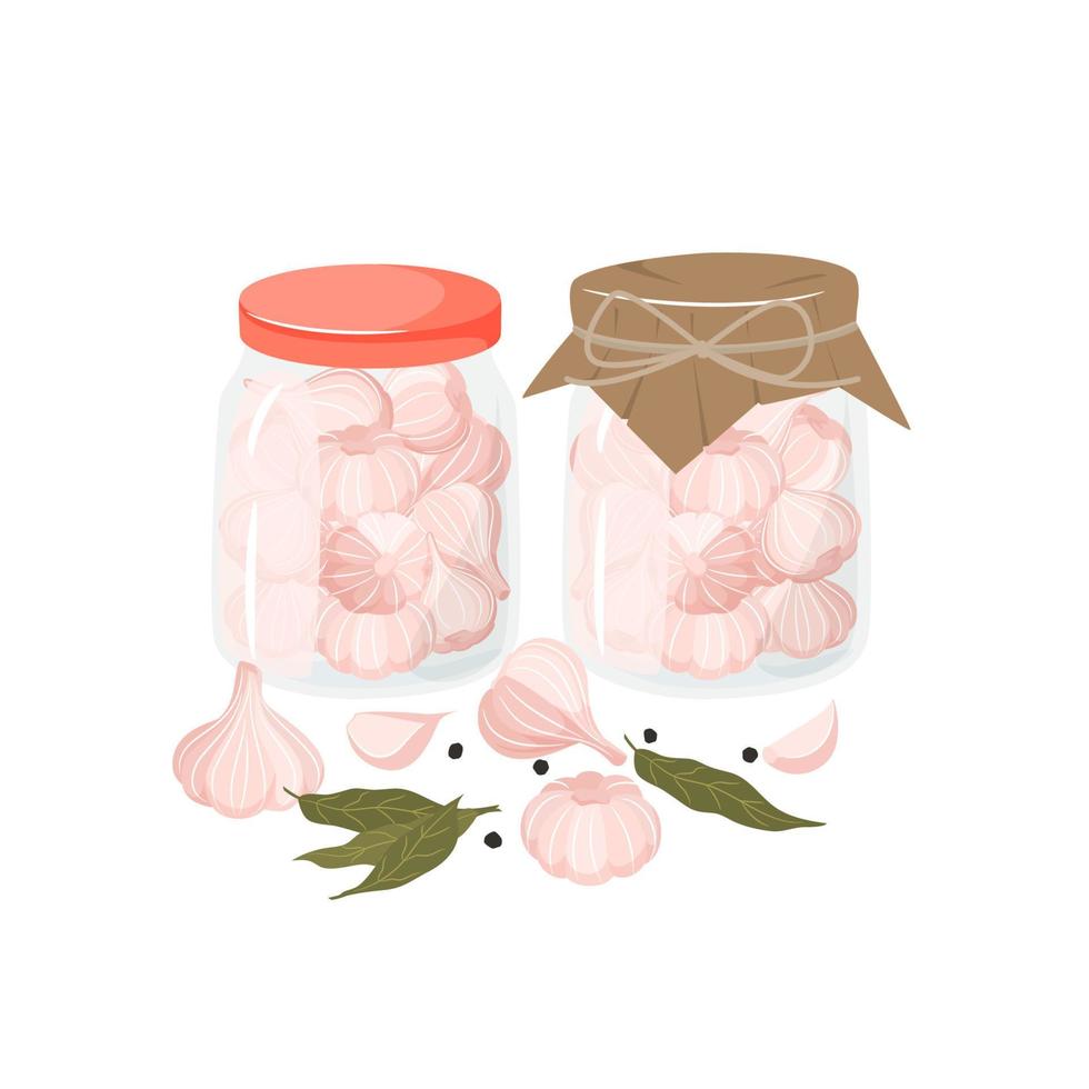 Pickled garlic with spices in a jar. Homemade preserves of garlic. Preparing and Preserving Food. Canned natural healthy products vector illustration.