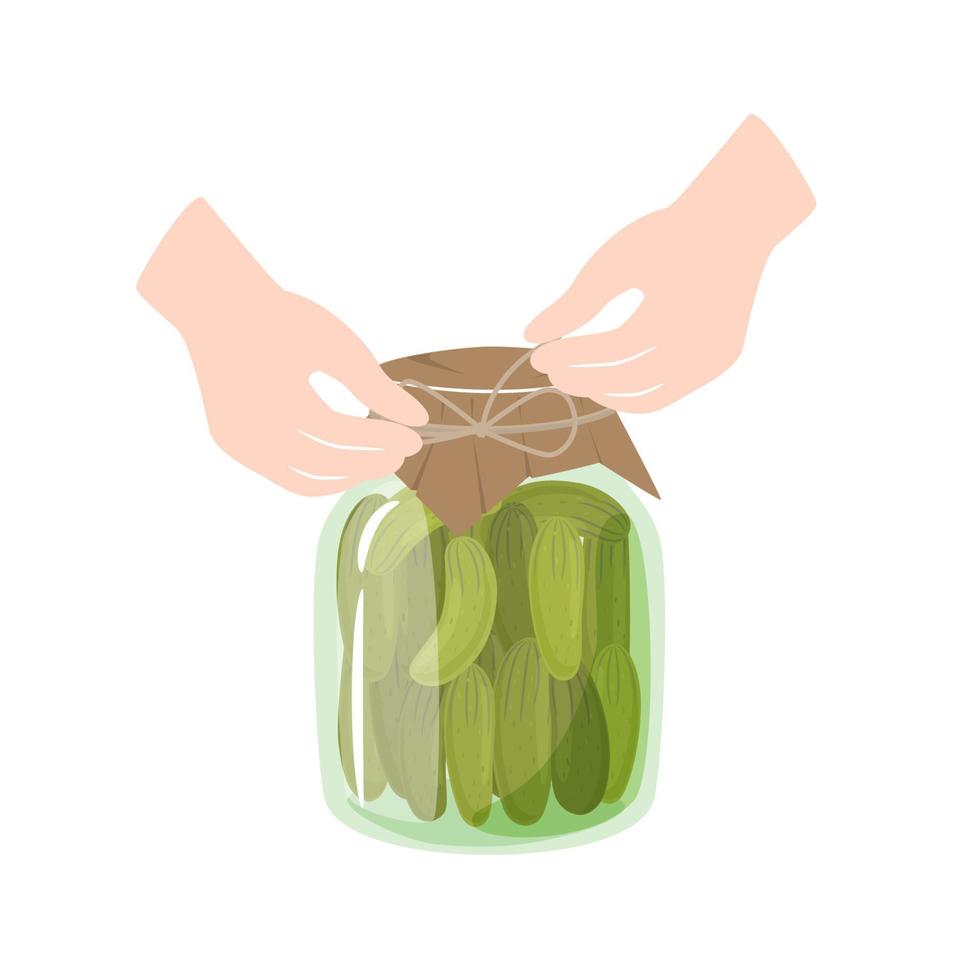 Pickled Cucumbers with spices in a jar. Homemade preserves of Cucumbers. Preparing and Preserving Food. Canned natural healthy products vector illustration.