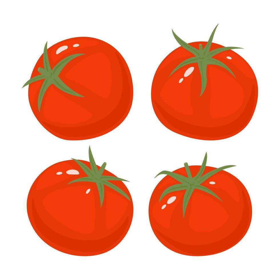 Set of tomatoes. Fresh red vegetable, vegetarian, vegan healthy organic food. Vector illustration isolated on white background.