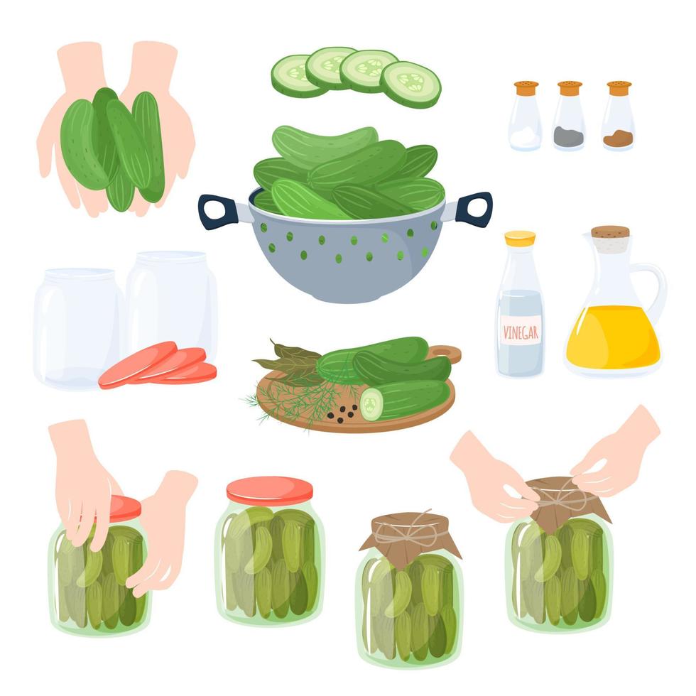 conservas caseras de pepinos. preparación y conservación de verduras. Ilustración de vector de alimentos de productos saludables naturales enlatados.