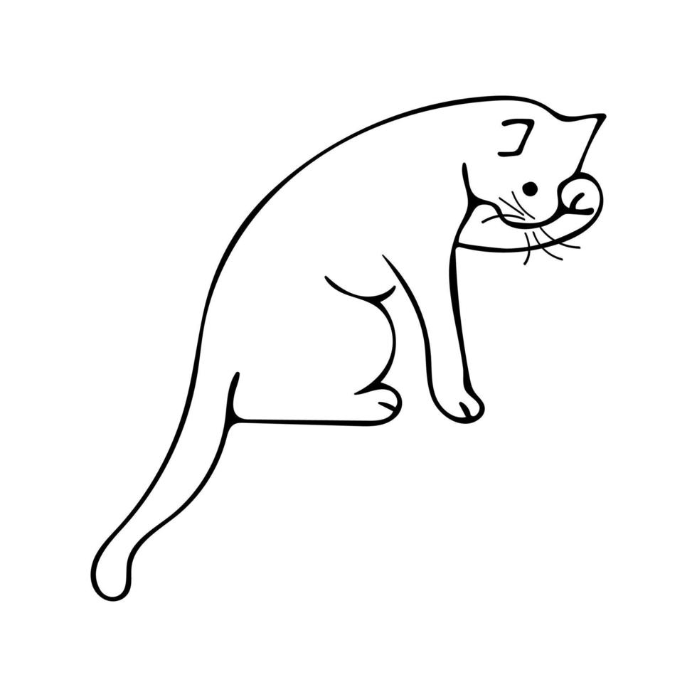 Doodle cat washing one paw, black and white illustration vector