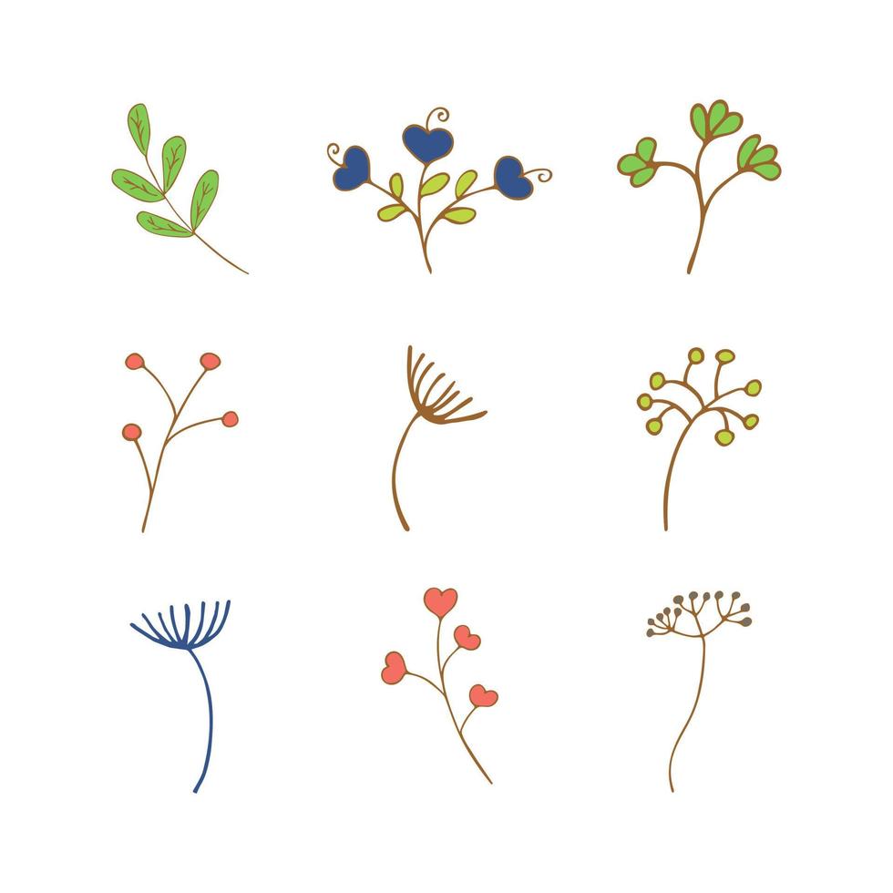 Set of spring and summer flowers and twigs vector