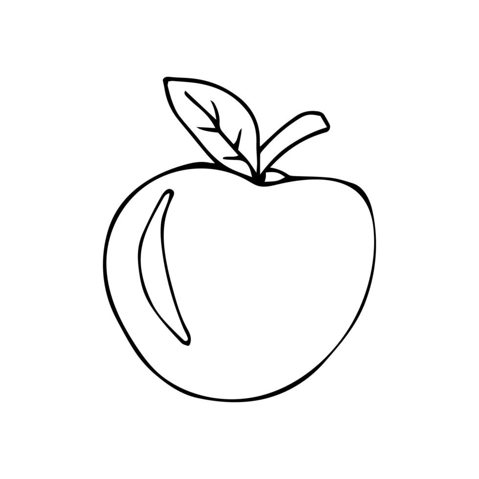 Ripe apple vector black and white illustration on a white background