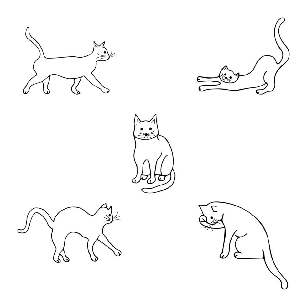 Set with cats in different poses. Doodle illustration vector