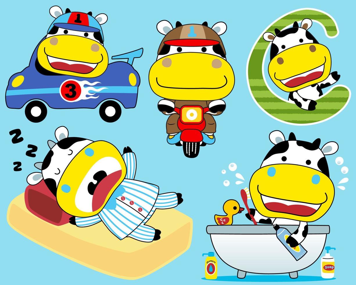 Vector set of little cow cartoon in different activity