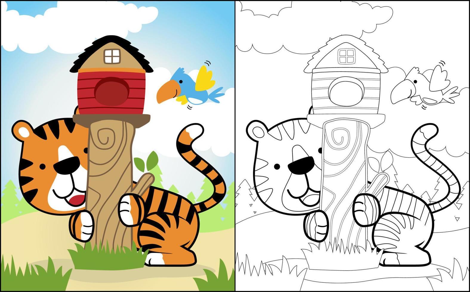 Coloring book or page of funny animals cartoon, tiger playing with bird in forest, birds cage on tree stump vector
