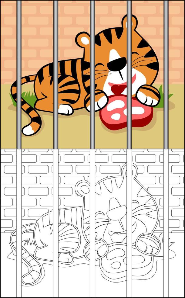 libro de color o página de dibujos animados de tigre con carne dentro de la jaula vector