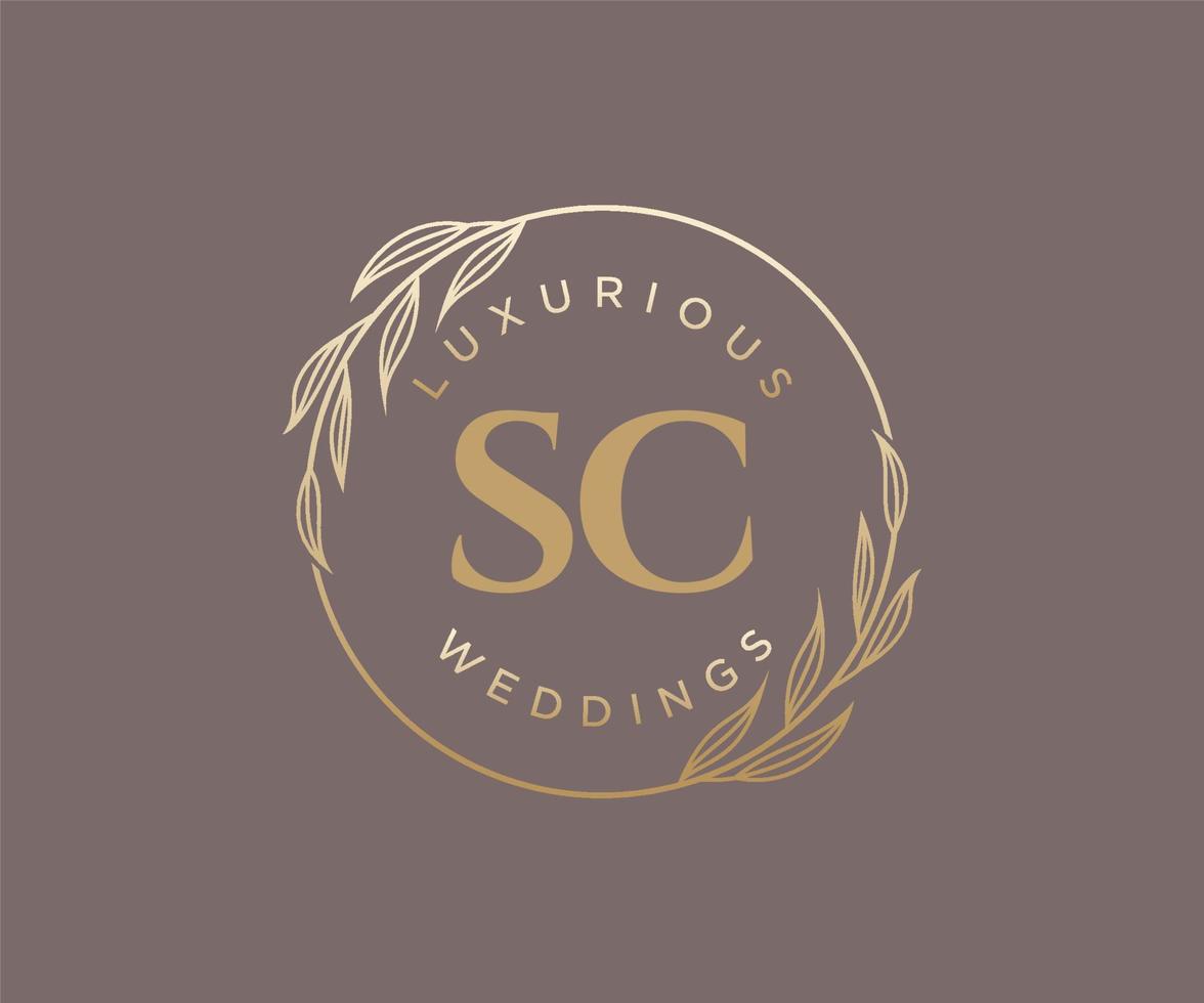 SC Initials letter Wedding monogram logos template, hand drawn modern minimalistic and floral templates for Invitation cards, Save the Date, elegant identity. vector