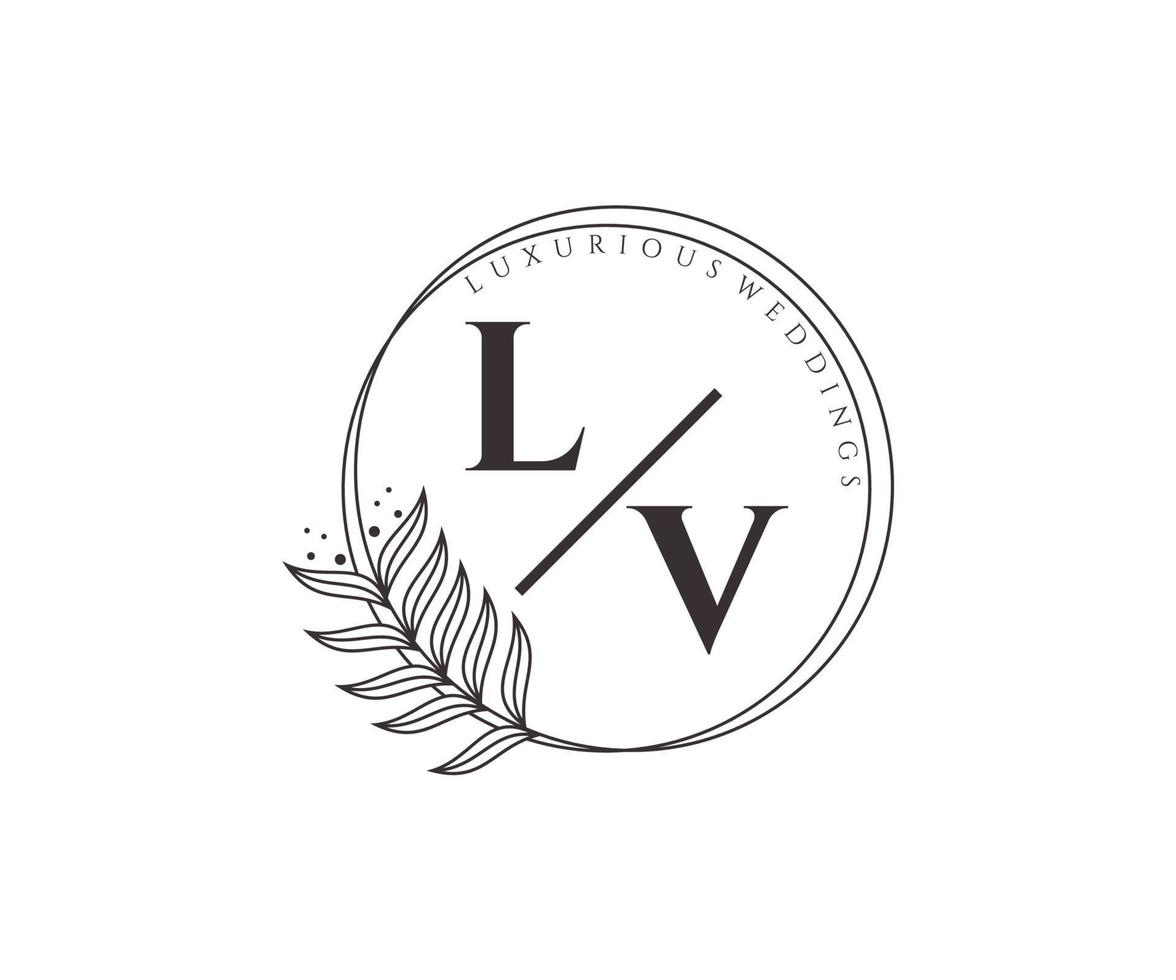 Plantilla de logotipos de monograma de boda con letras iniciales lv, plantillas florales y minimalistas modernas dibujadas a mano para tarjetas de invitación, guardar la fecha, identidad elegante. vector