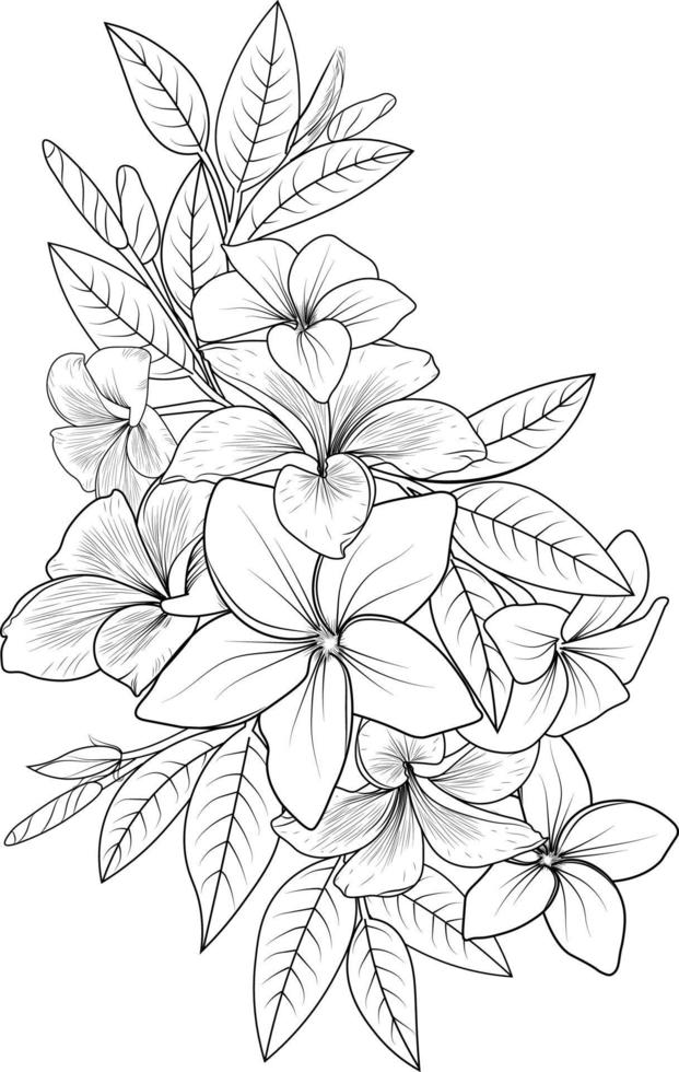 Frangipani flowers vector art, beautiful hand-drawn tropical flowers. monochrome illustration isolated on white background for posters, greeting cards, vector sketch hand drew, and coloring books.