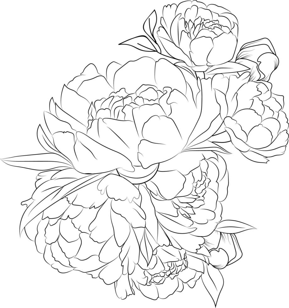 Doodle flower, peony flower bouquet of line art, lovely design easy sketch art of peony flowers, bouquets of floral hand-drawn illustrations, doodle zen tattooing drawing coloring book. vector