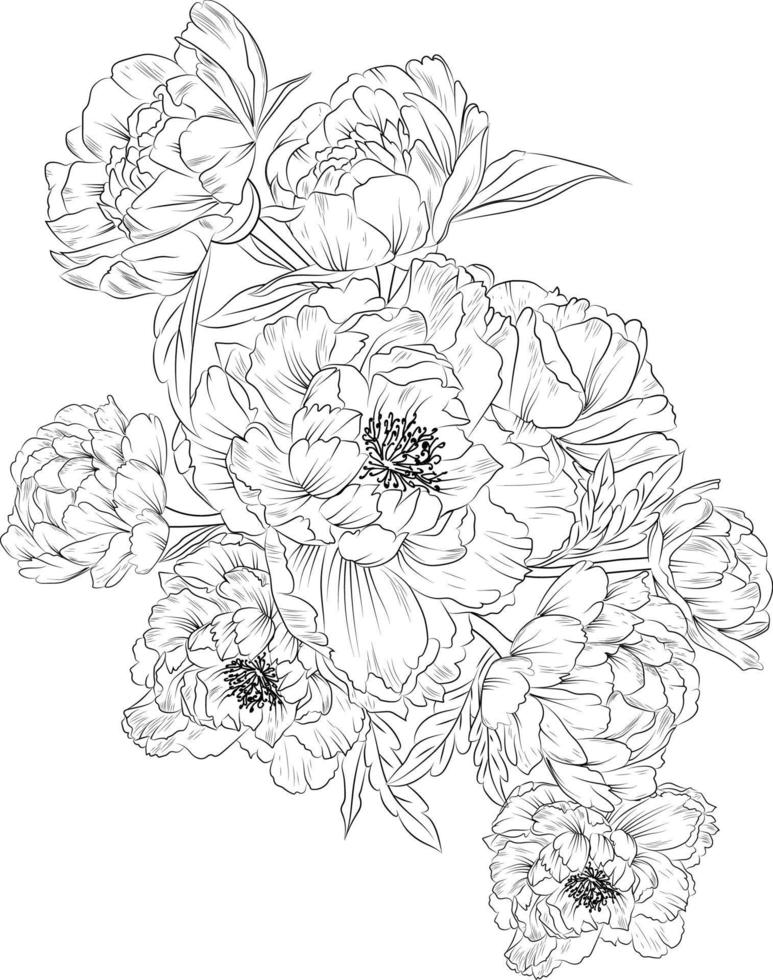 Hand-drawn peony flower bouquet vector sketch illustration engraved ink art botanical leaf branch collection isolated on white background coloring page and books.