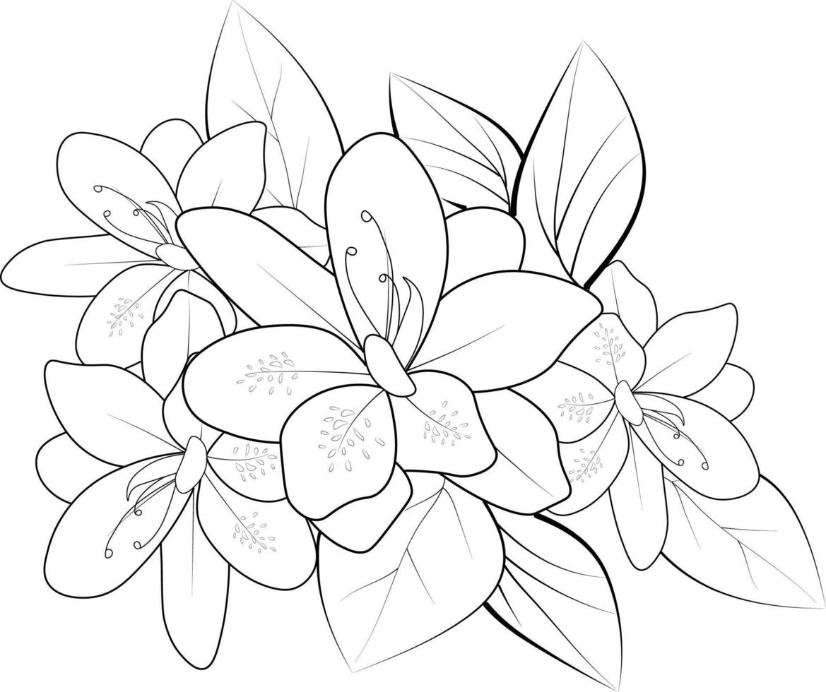 Hand drawn beautiful Evergreen Azalea Rani,flower bouquets vector