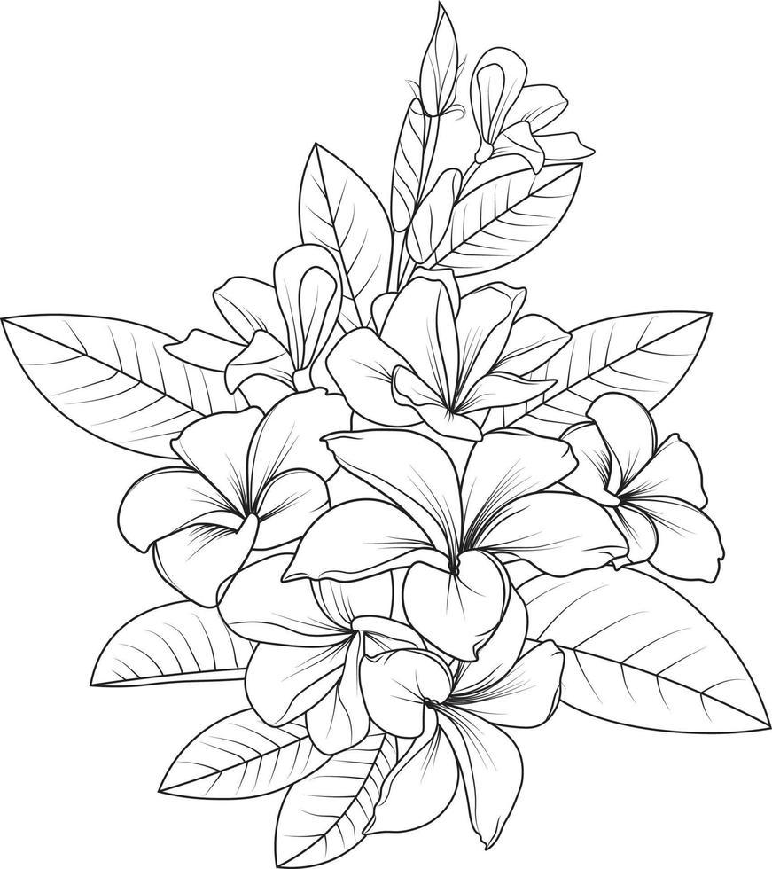 ramo de flor de frangipani dibujo a lápiz dibujado a mano página para colorear y libro para adultos aislado sobre fondo blanco tatuaje de elemento floral, arte de tinta de ilustración. vector