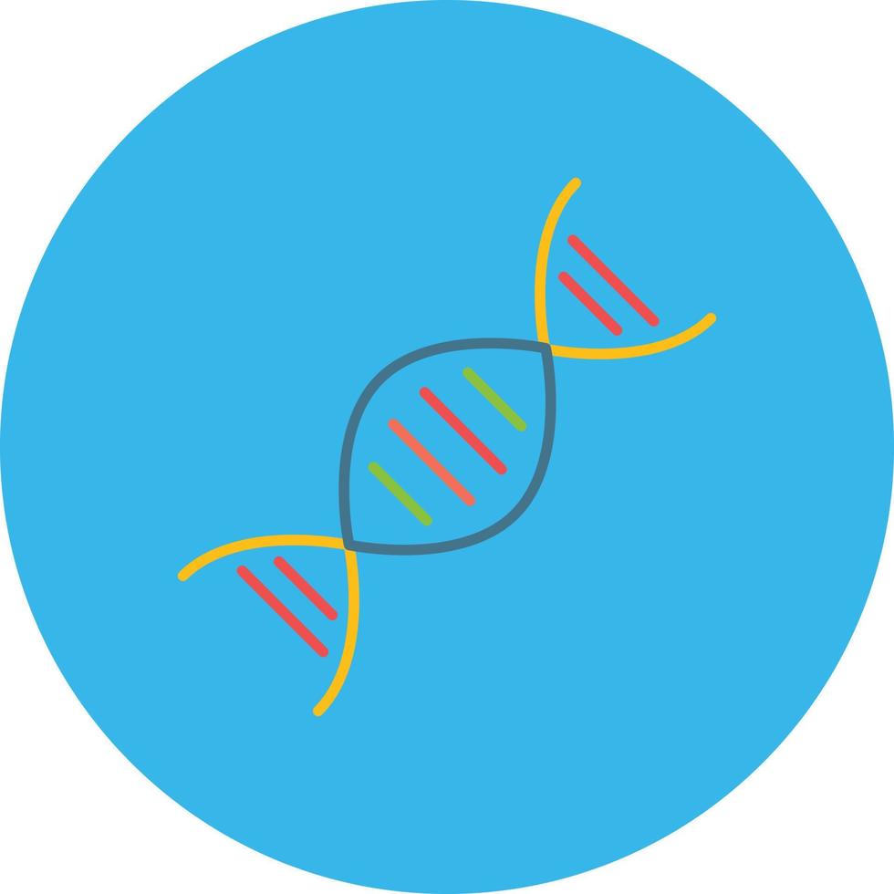 13 - DNA vector