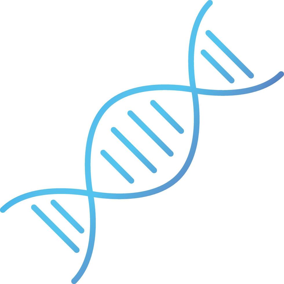 13 - DNA vector
