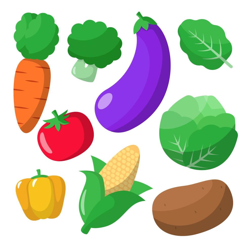 Set of vegetable vector illustrations isolated on white background