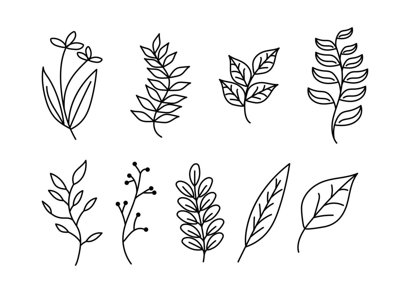 floral decorative illustration set vector