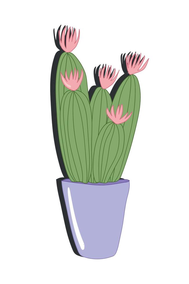Vector cactus illustration with pink flowers. Cartoon flat style. Green cactus flower in purple pot. Design for stickers, decoration.