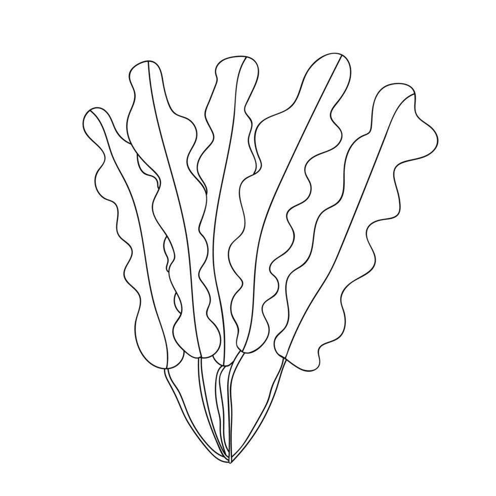 ilustración de fideos vectoriales de algas marinas. ilustración de planta de algas de tinta dibujada a mano. vector