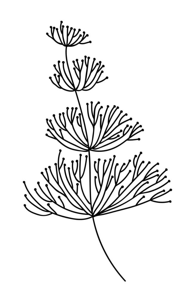 Seaweed vector doodle illustration. Hand drawn ink seaweed plant illustration.