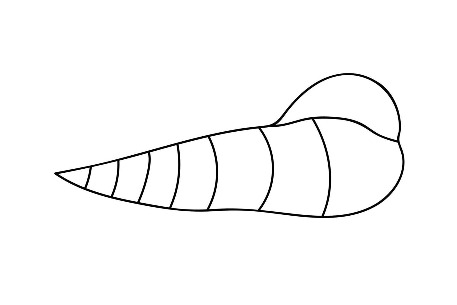 Vector sea shell illustration. Vector stock illustration.